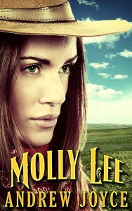 Molly-Lee-800 Cover reveal and Promotional (1)